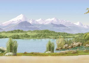bergwelt-1.png